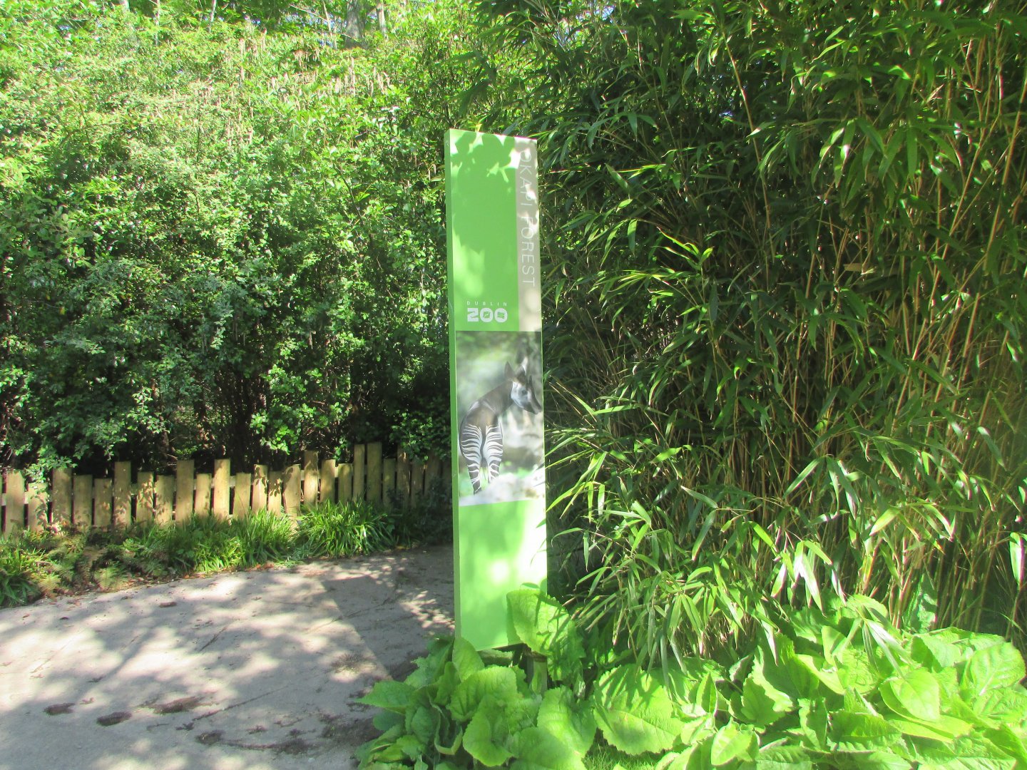 Dublin Zoo - Okapi rainforest entrance