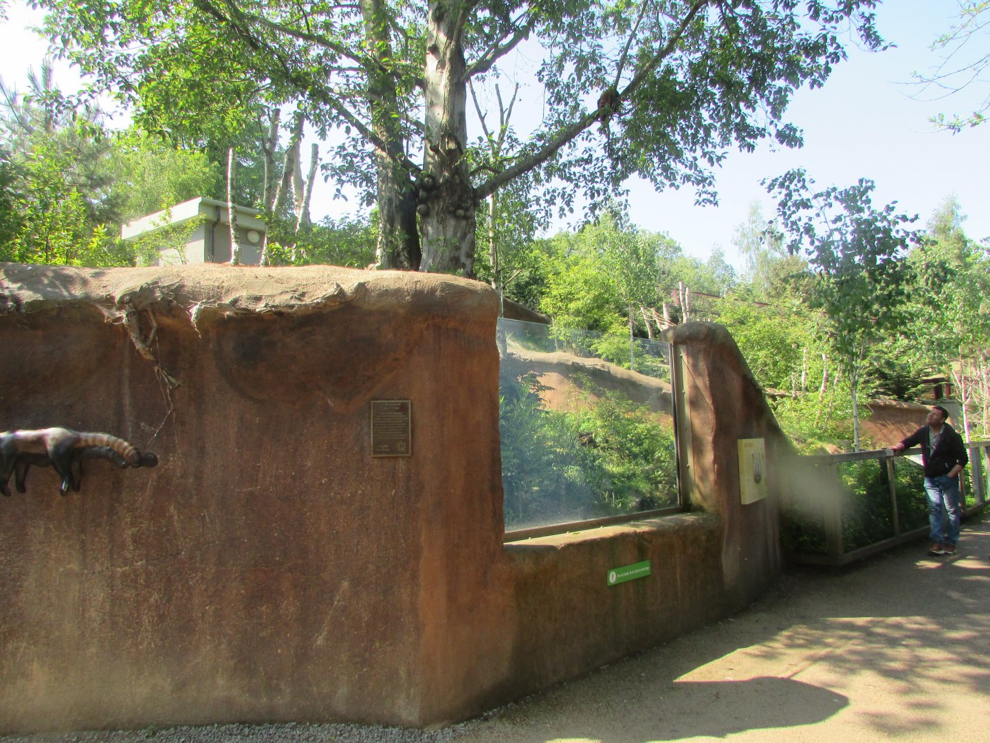 Dublin Zoo - Red panda exhibit