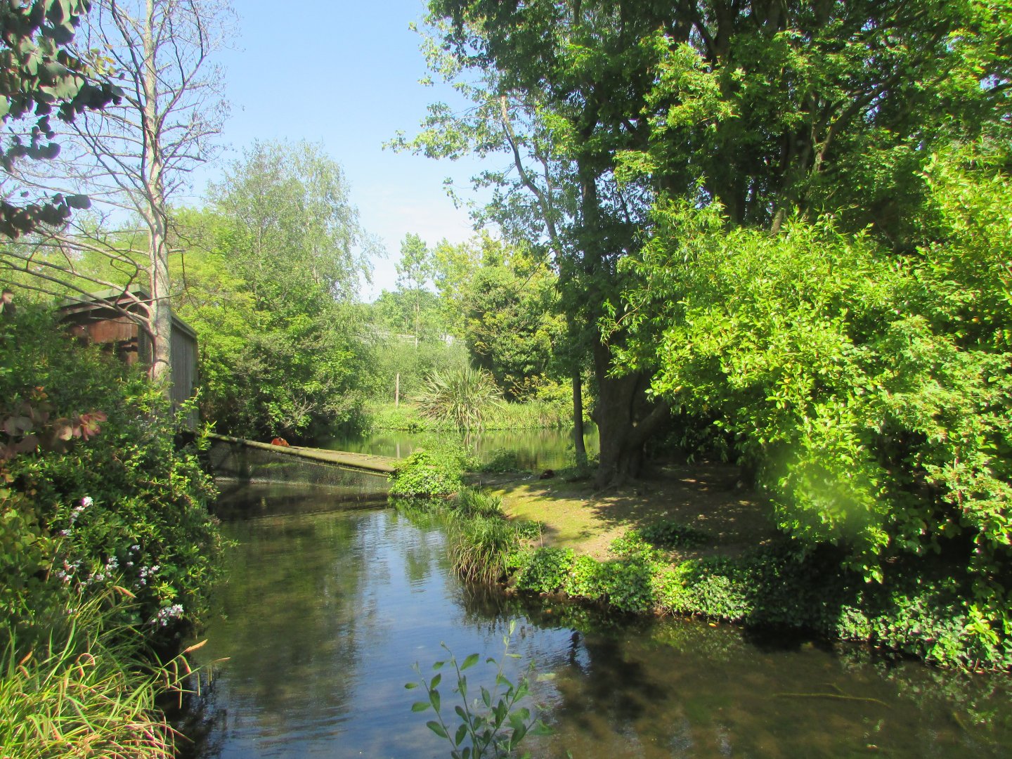 Dublin Zoo - Red-ruffed lemur exhibit