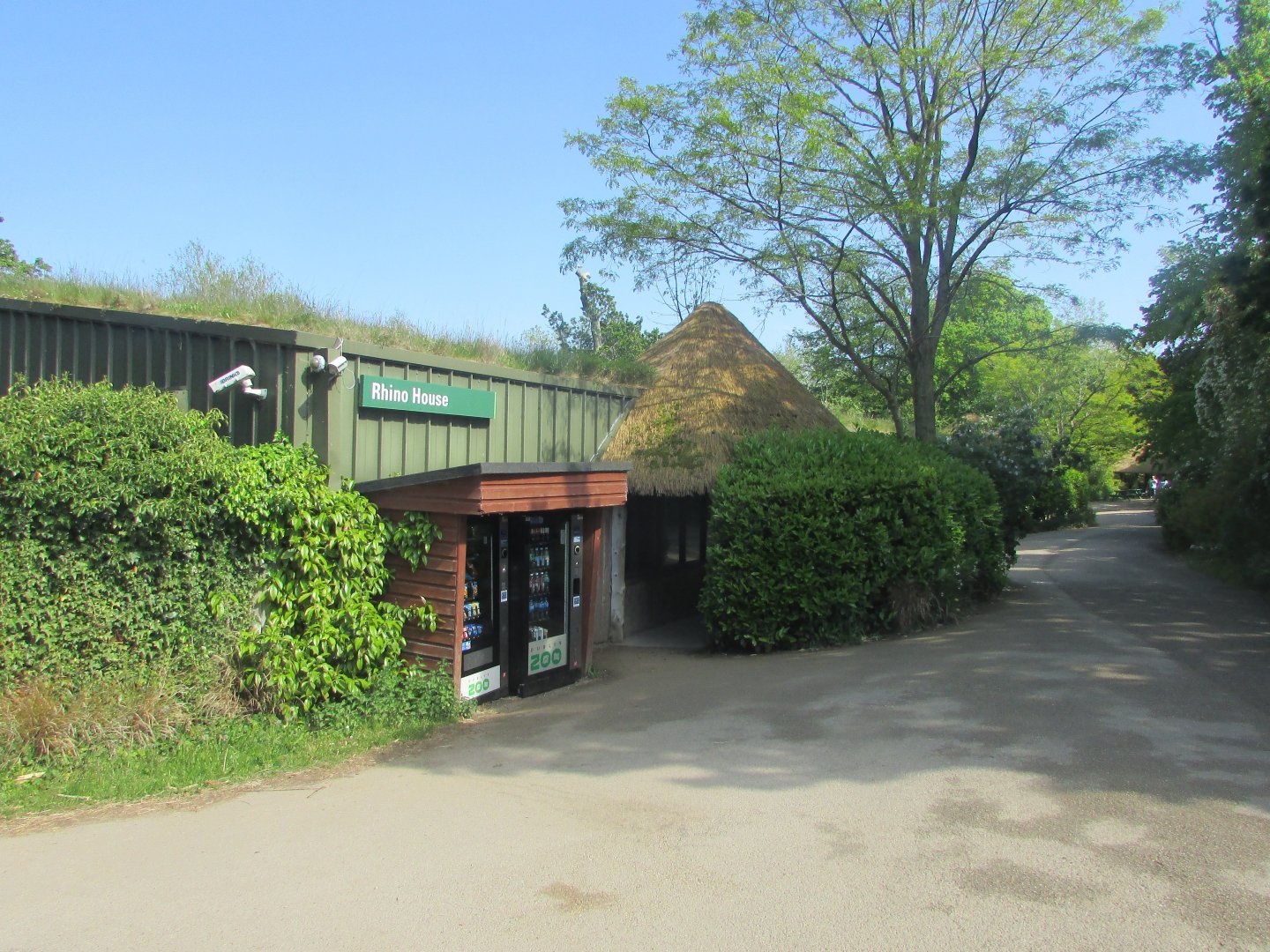 Dublin Zoo - Rhino house