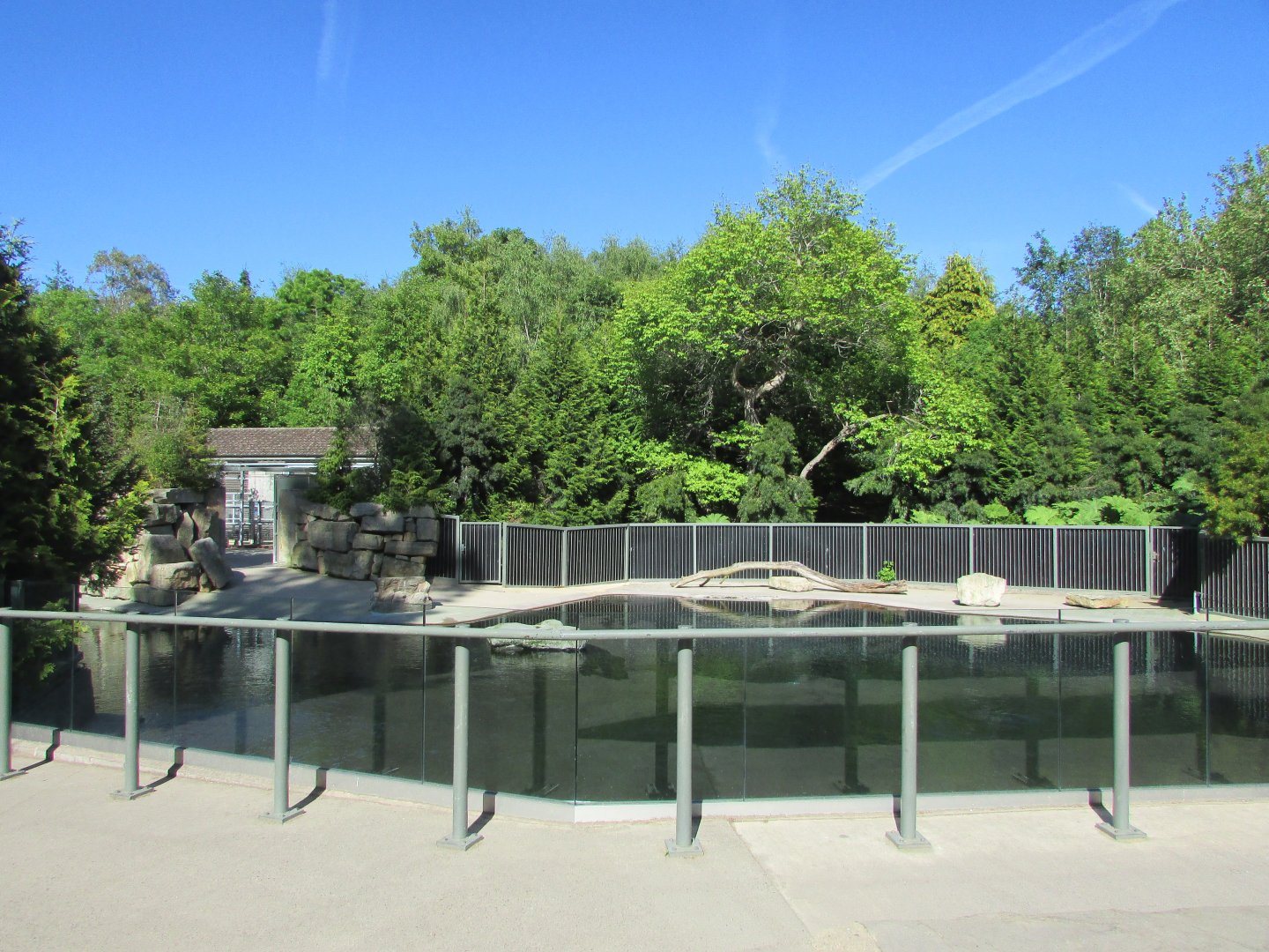 Dublin Zoo - Sea Lion Cove
