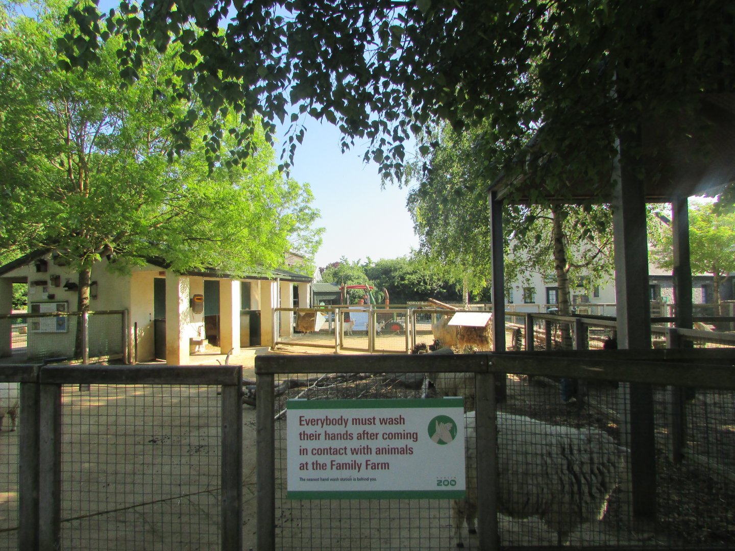 Dublin Zoo - Sheep and goat pens