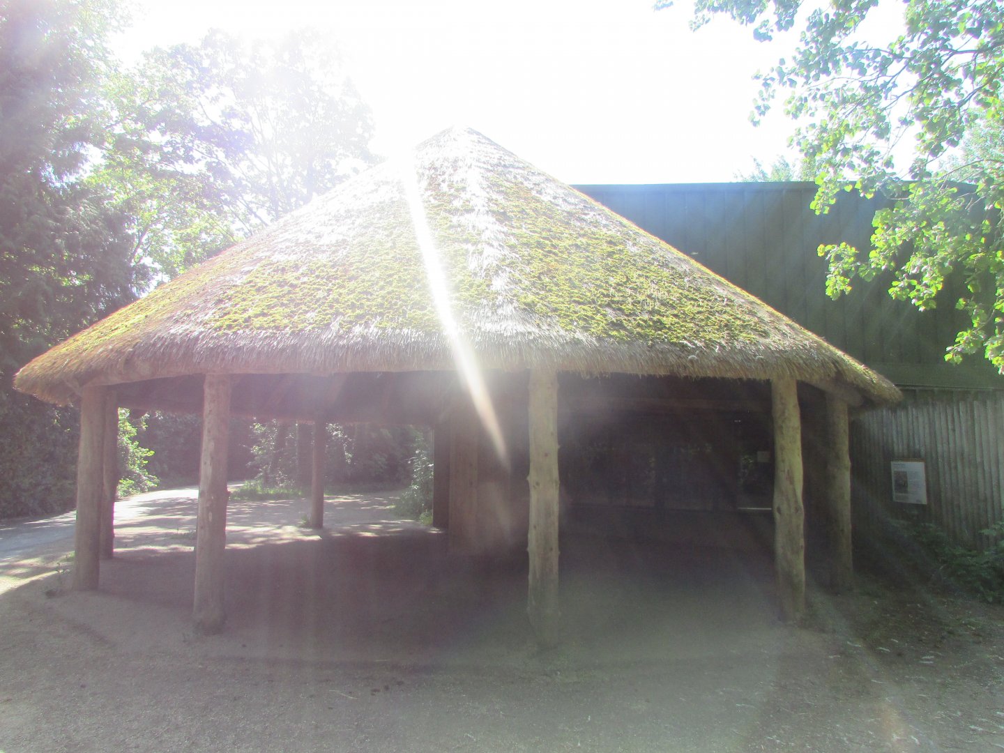 Dublin Zoo - Shelter for medium-sized ungulates