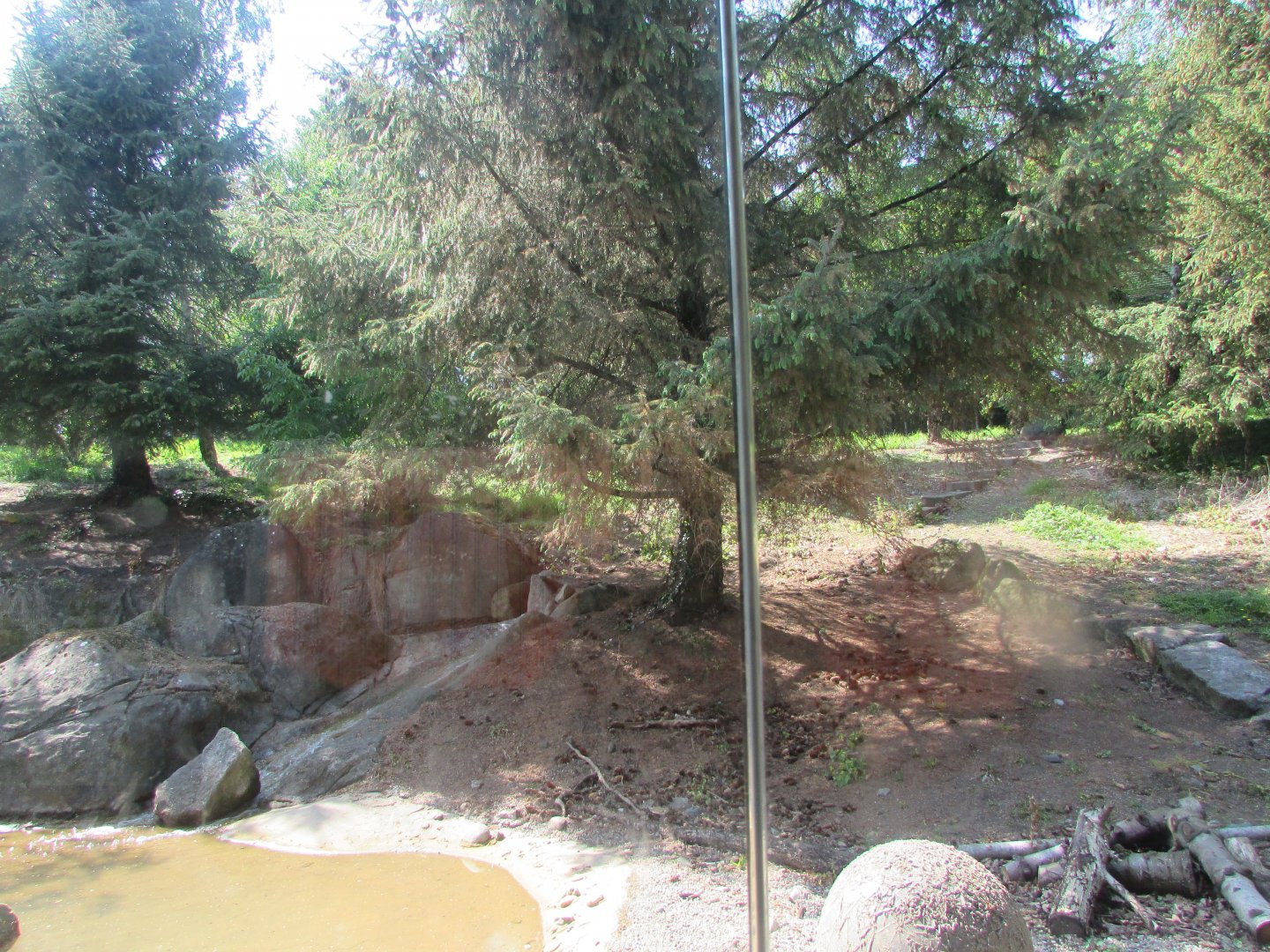 Dublin Zoo - Siberian tiger exhibit