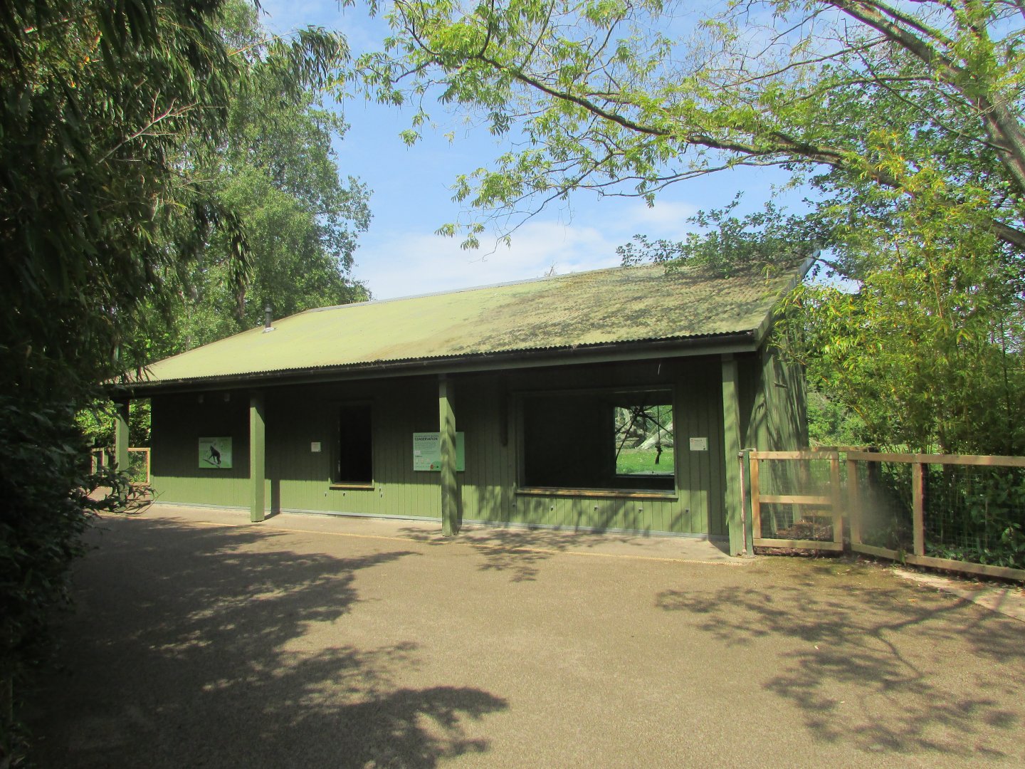 Dublin Zoo - Sulawesi crested macaque indoor quarters