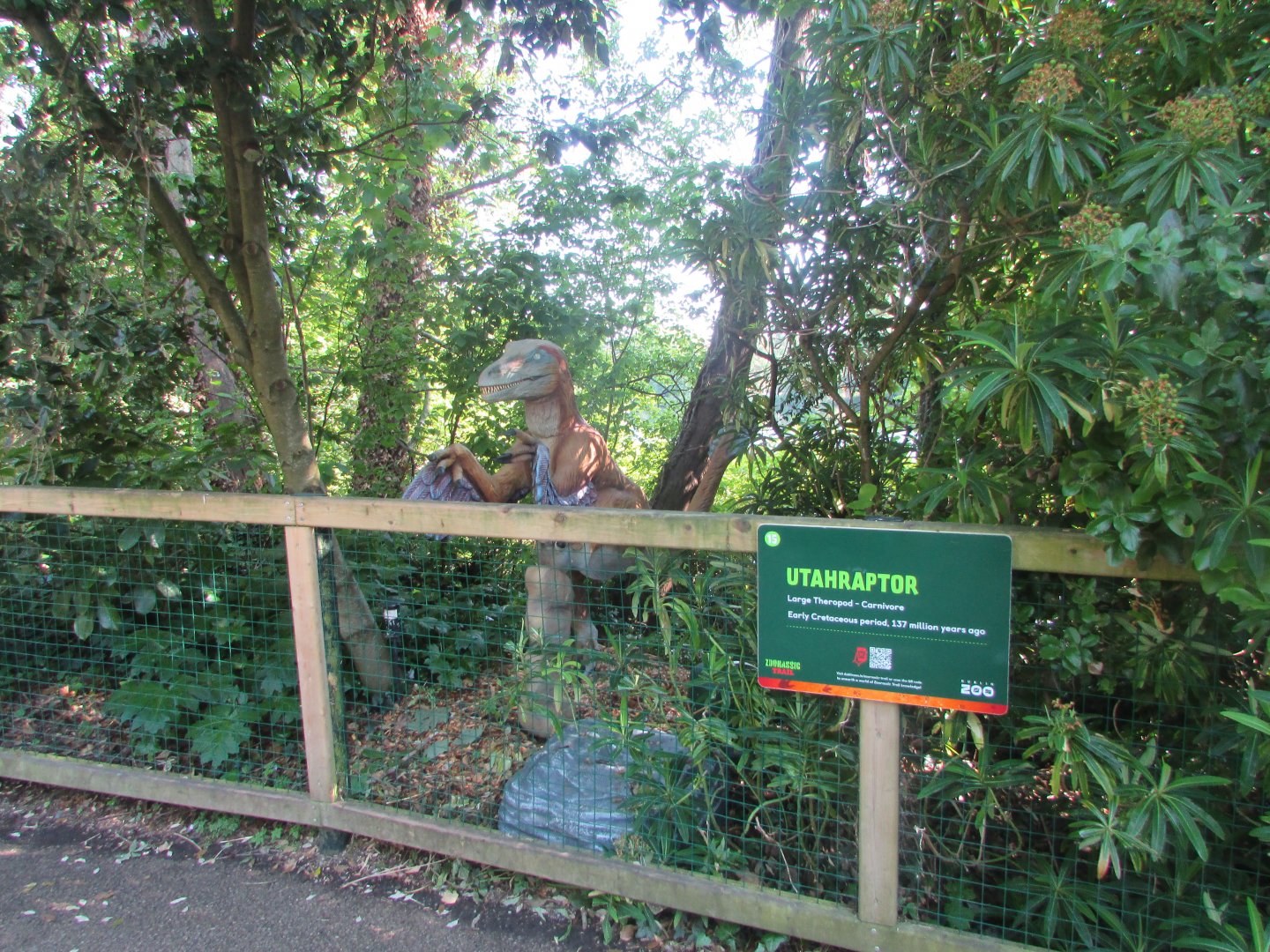 Dublin Zoo - Utahraptor