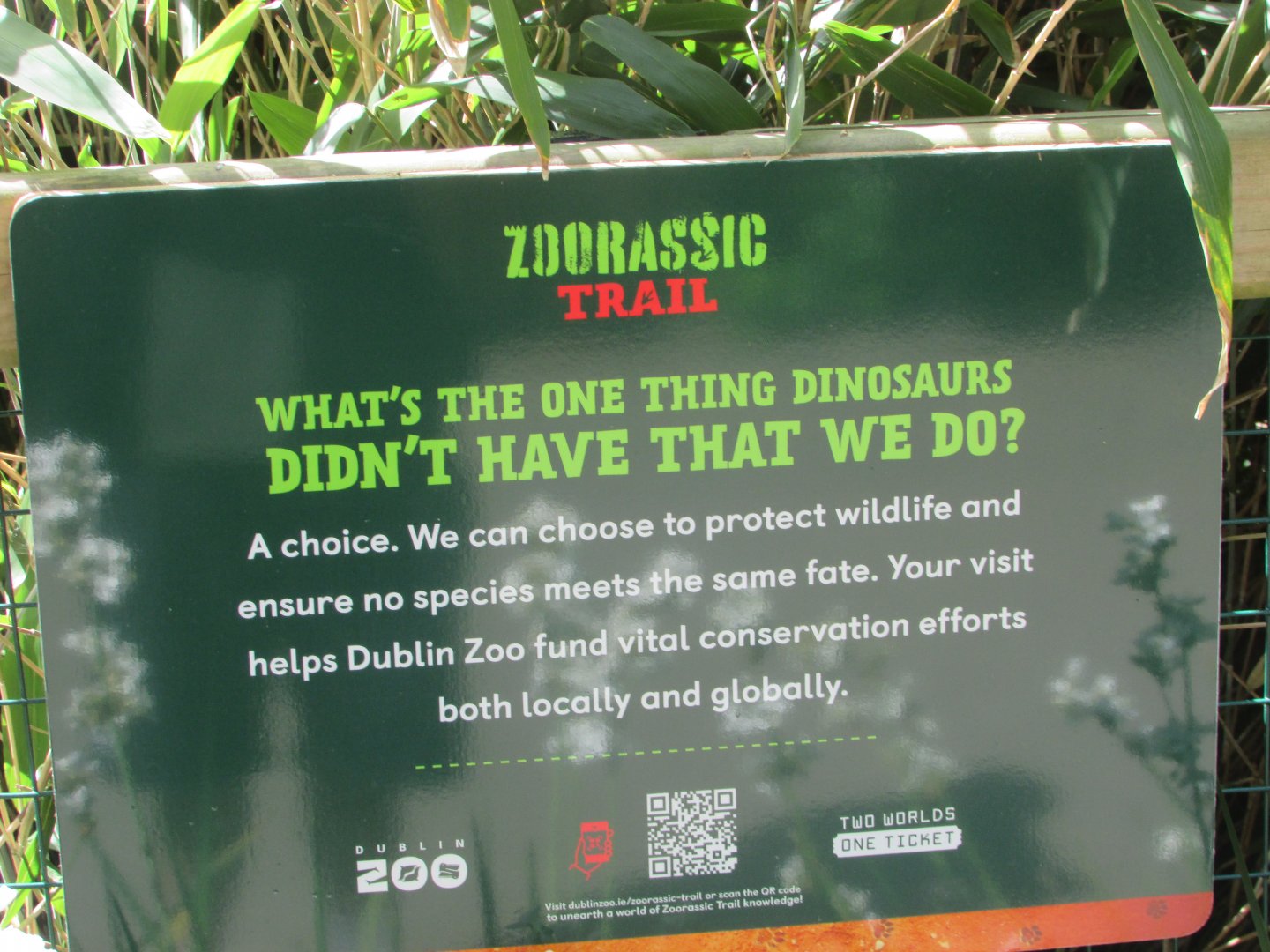 Dublin Zoo - Zoorassic trail sign
