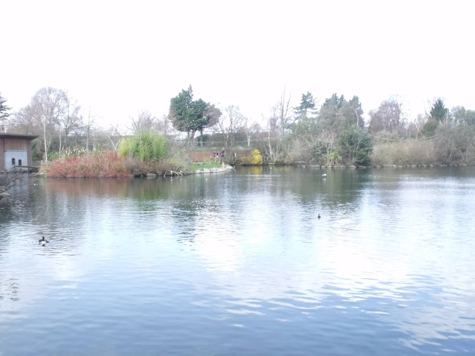 Dublin zoos huge lake