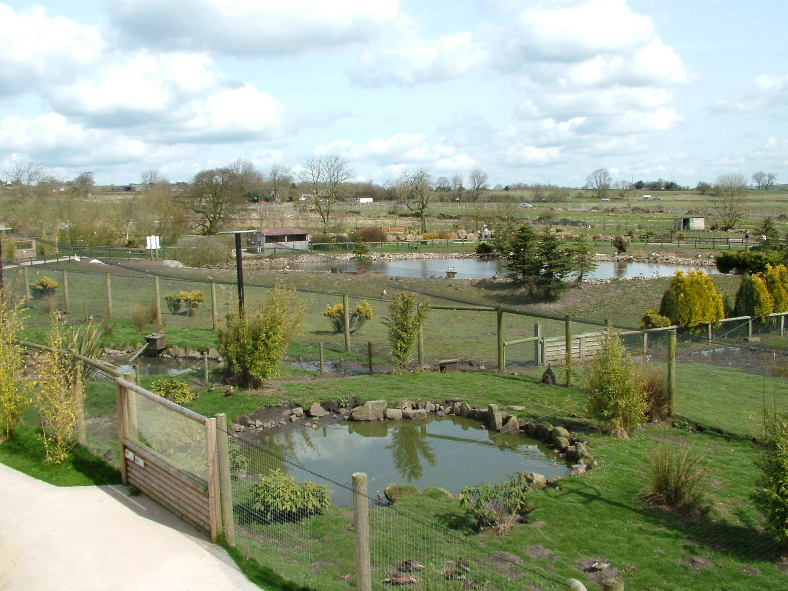 Duck Aviaries and N. American lake at Blackbrook Apr 09