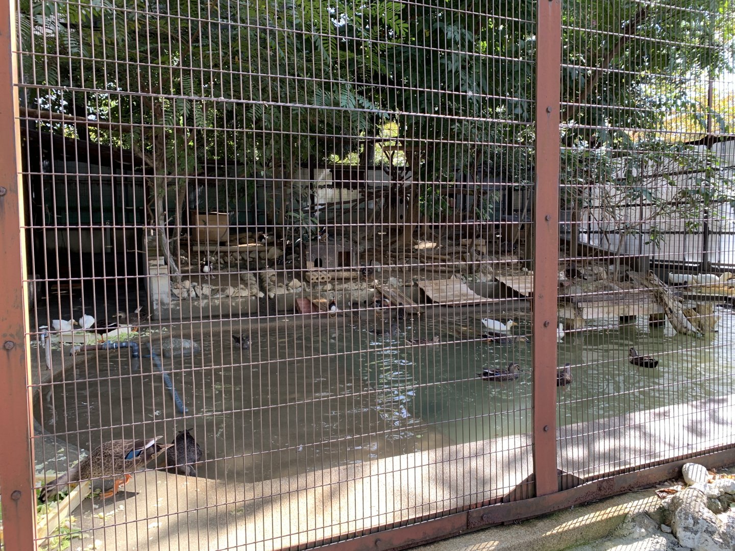 Duck Aviary (Himeji City Zoo)