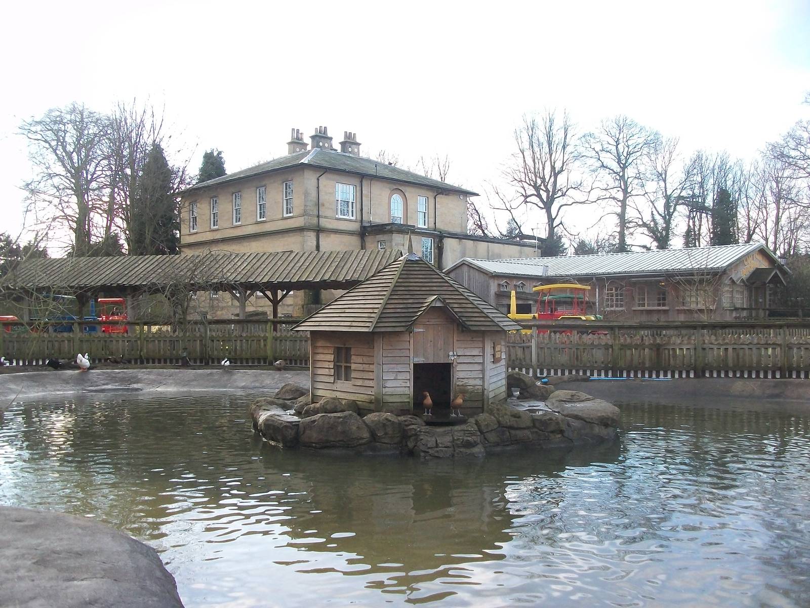 Duck Pond and beyond 4th January 2013
