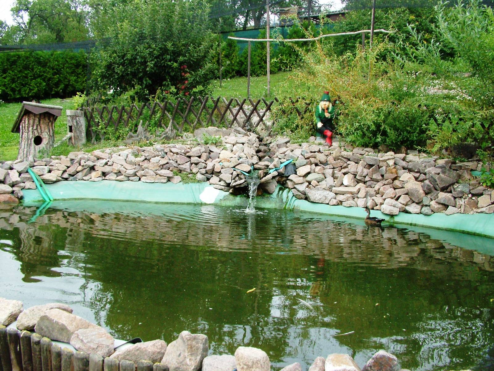 Duck Pond at Autocentrum Boura (Dymokury), 26/08/12