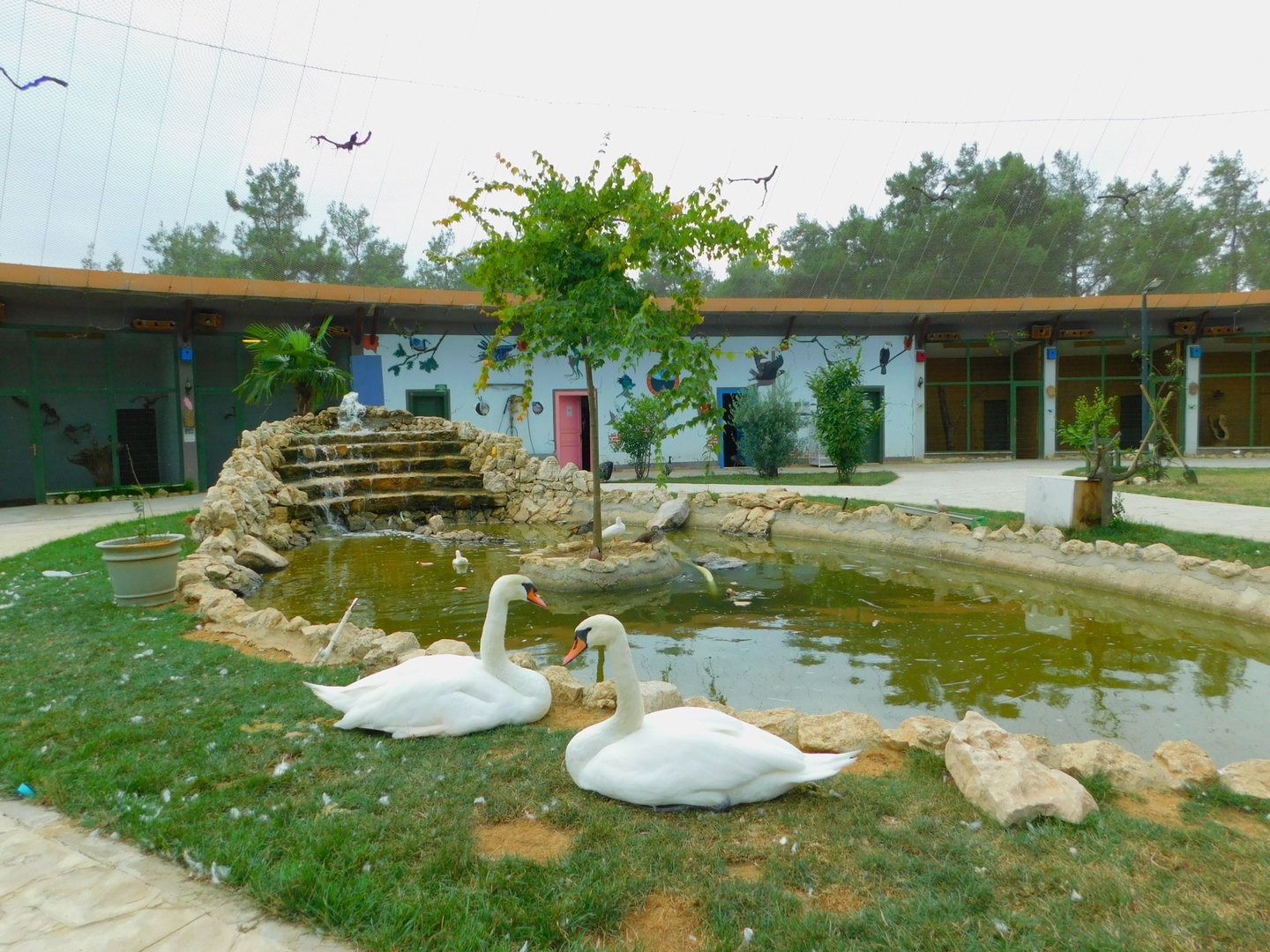 Duck Pond at Istanbul Bird Paradise