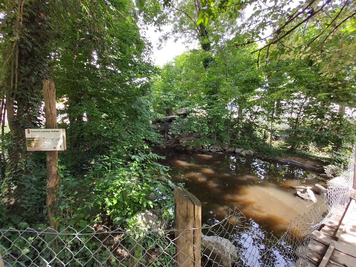 Duck pond (in the children farm)