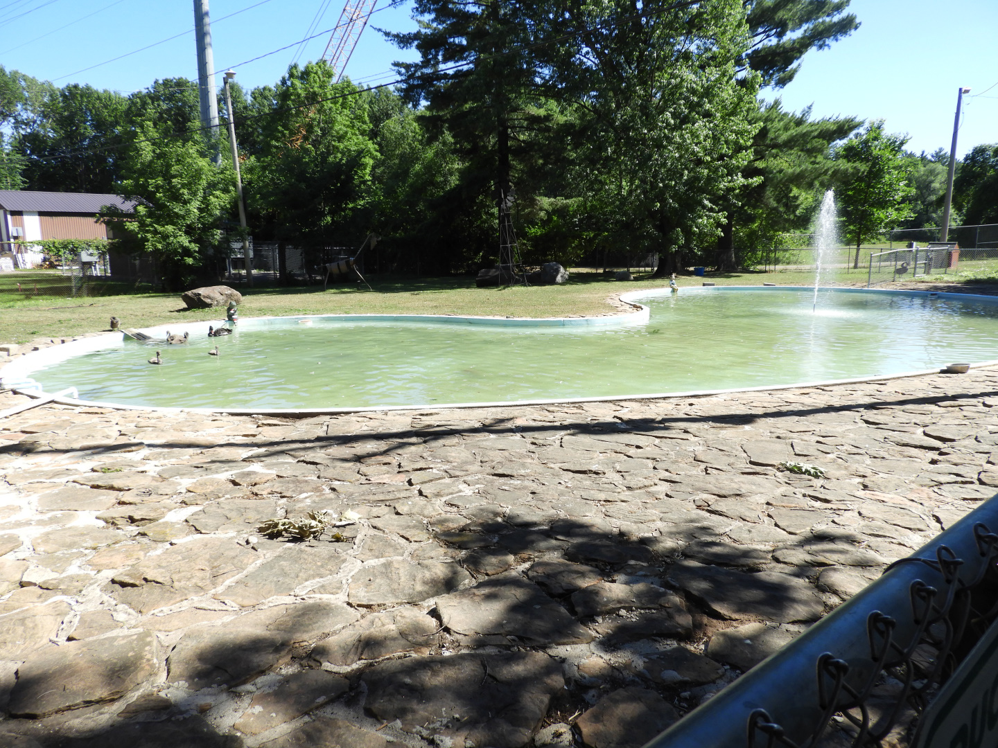 Duck Pond - Wisconsin Rapids Municipal Zoo
