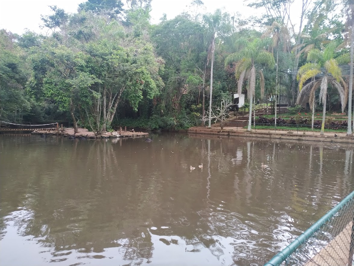 Duck Pond with the Scarlet Ibis enclosure in the background