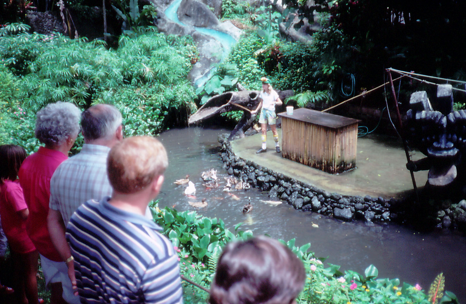 Duck Show - 1987