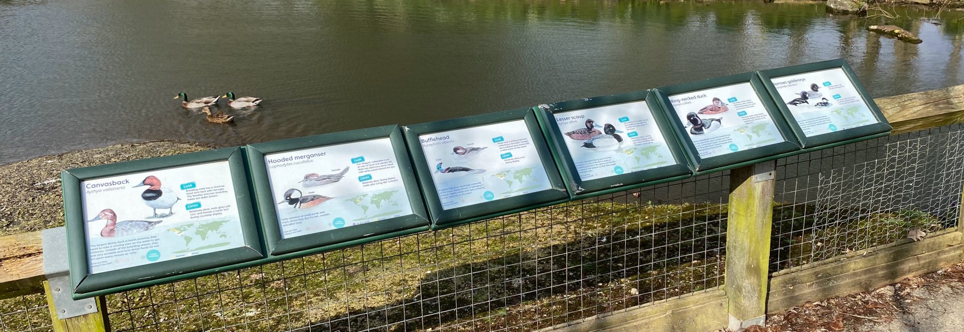 Duck Signage, WWT Slimbridge, UK