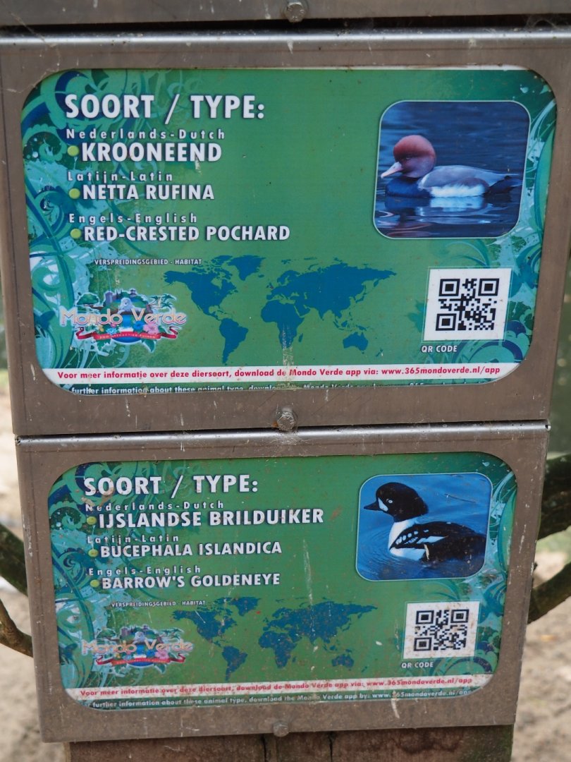 Duck signs (Aug 28th, 2018)