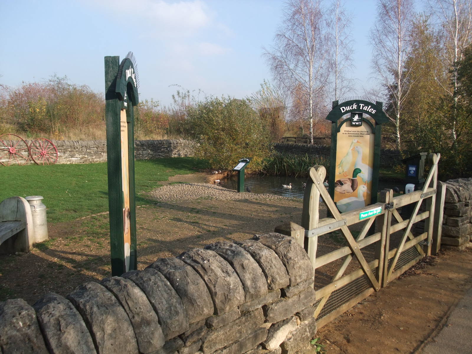 Duck Tales Pen at London WWT (Barnes), 15/11/11