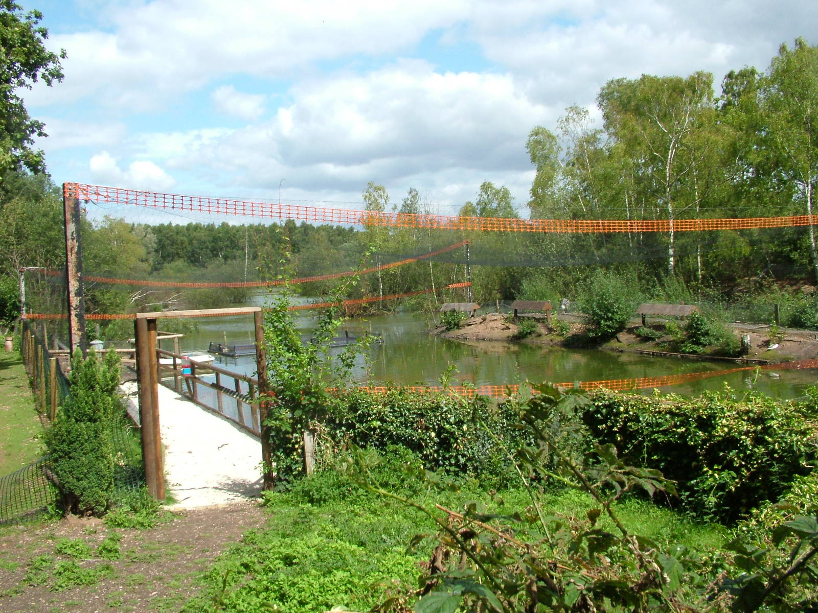 Duckery at Wetlands WP 02/08/09