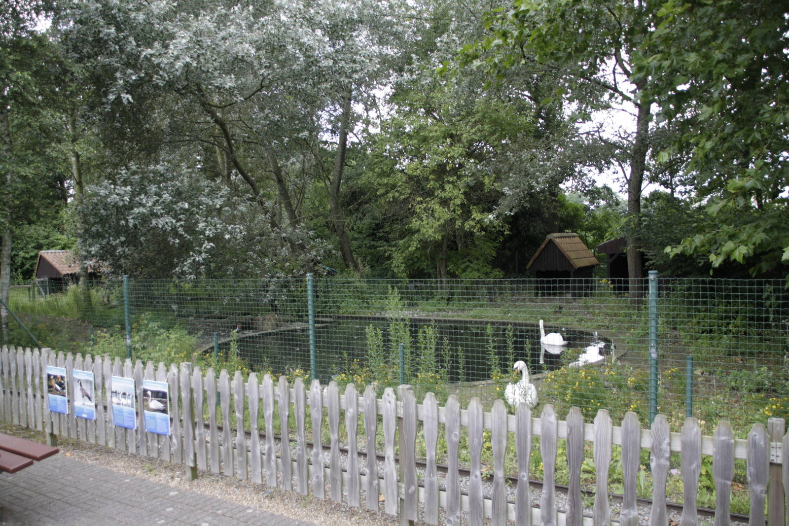 Ducks exhibit