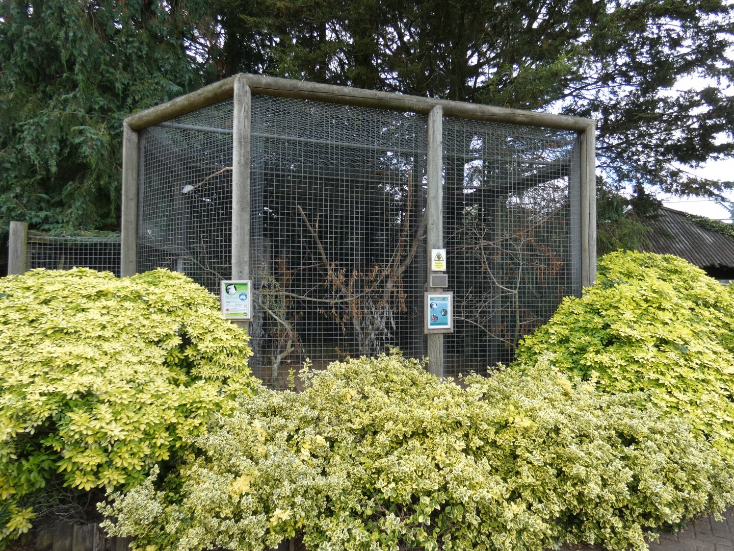 Ducorp's cockatoo aviary