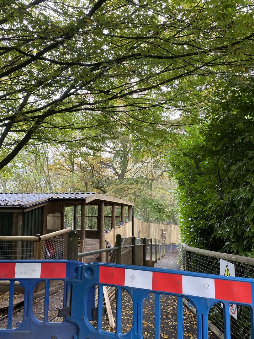 Dudley new bush dog enclosure, WIP, top, house