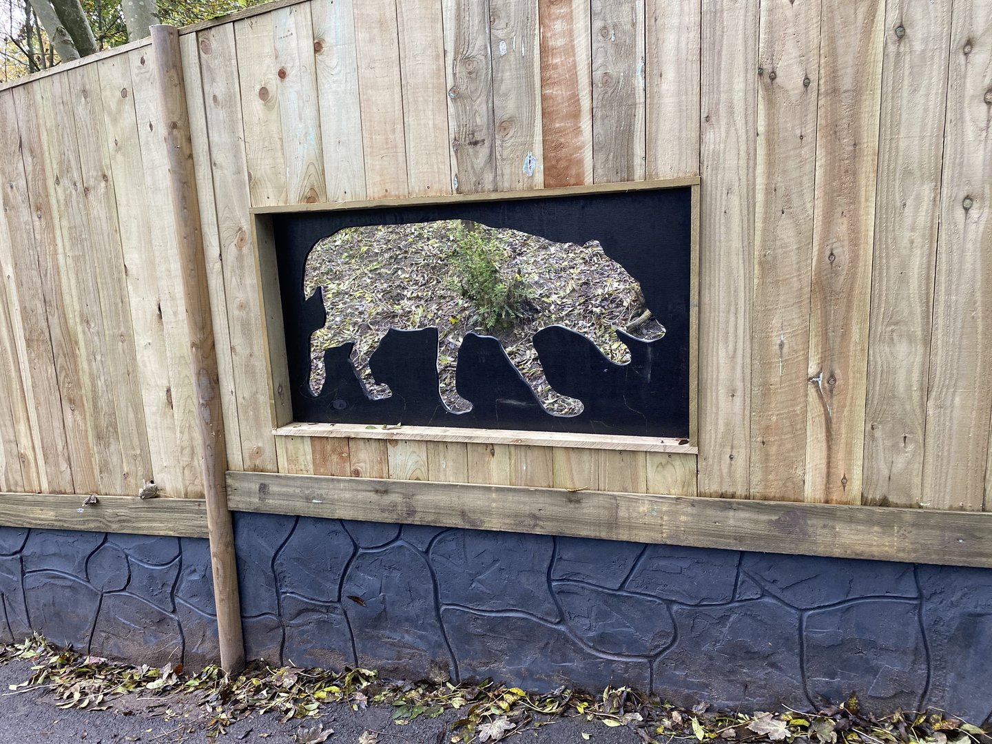 Dudley new bush dog enclosure, WIP, viewing window