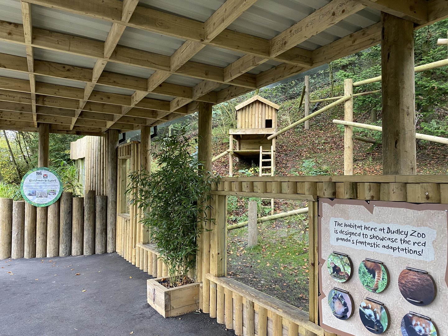 Dudley, Red panda enclosure, covered viewing
