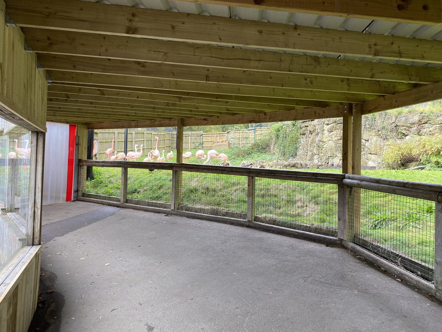 Dudley, updated flamingo viewing area