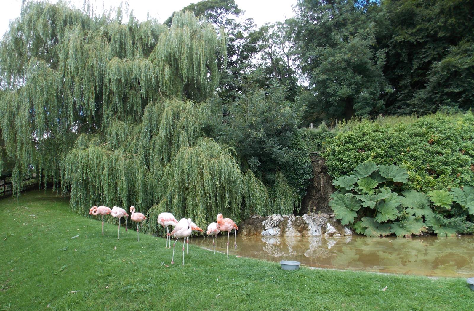 Dudley zoo 09/08/2013