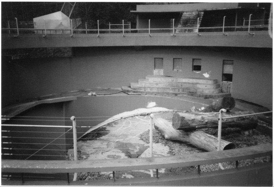 Dudley's old Polar Bear pit in 2000