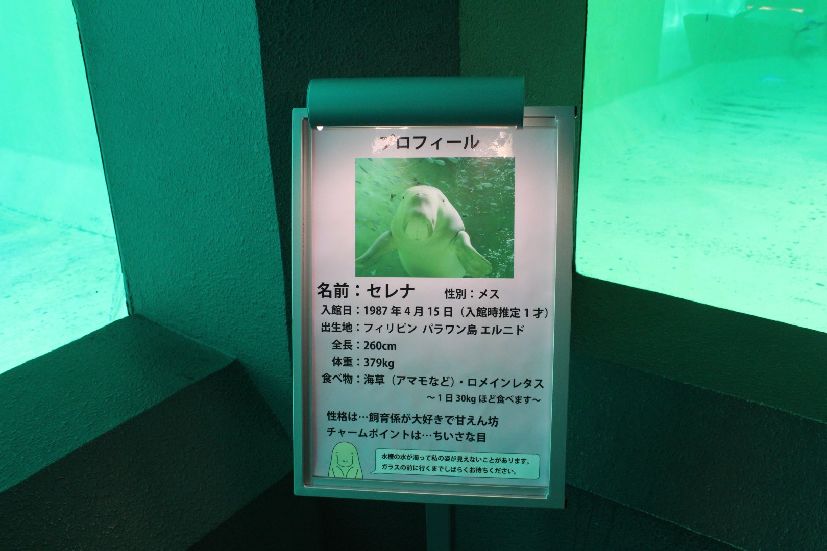 Dugong sign