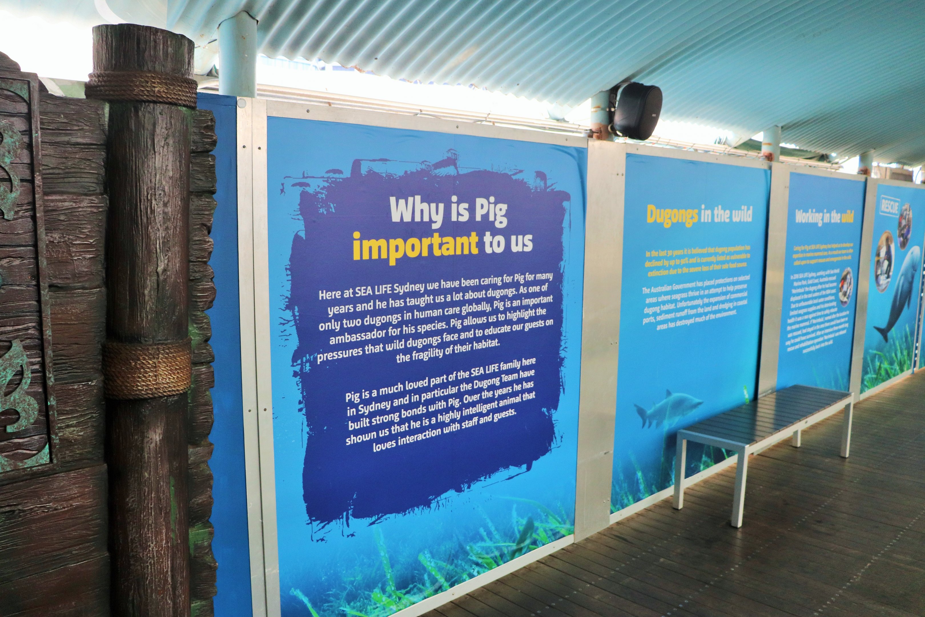 Dugong Signage