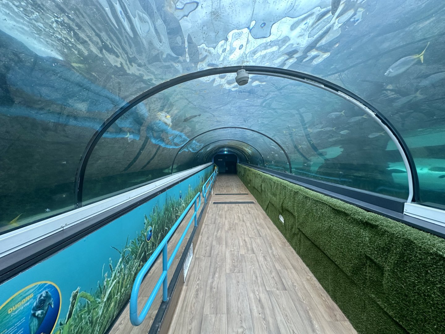 Dugong Tunnel