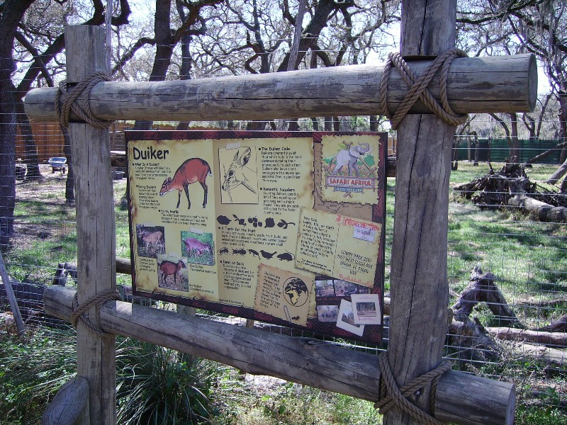 Duiker Graphics - Safari Africa