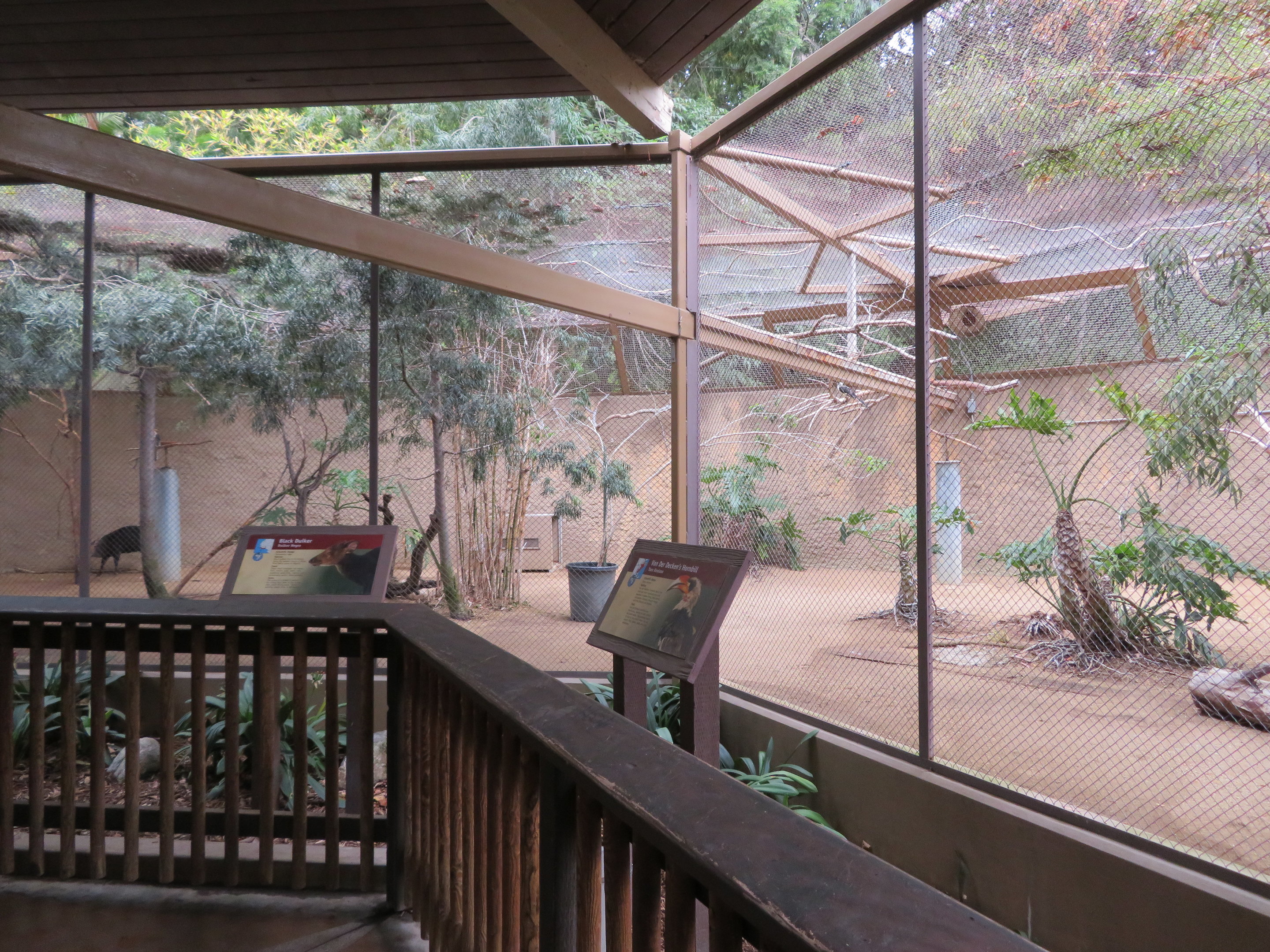 Duiker/Hornbill Exhibit