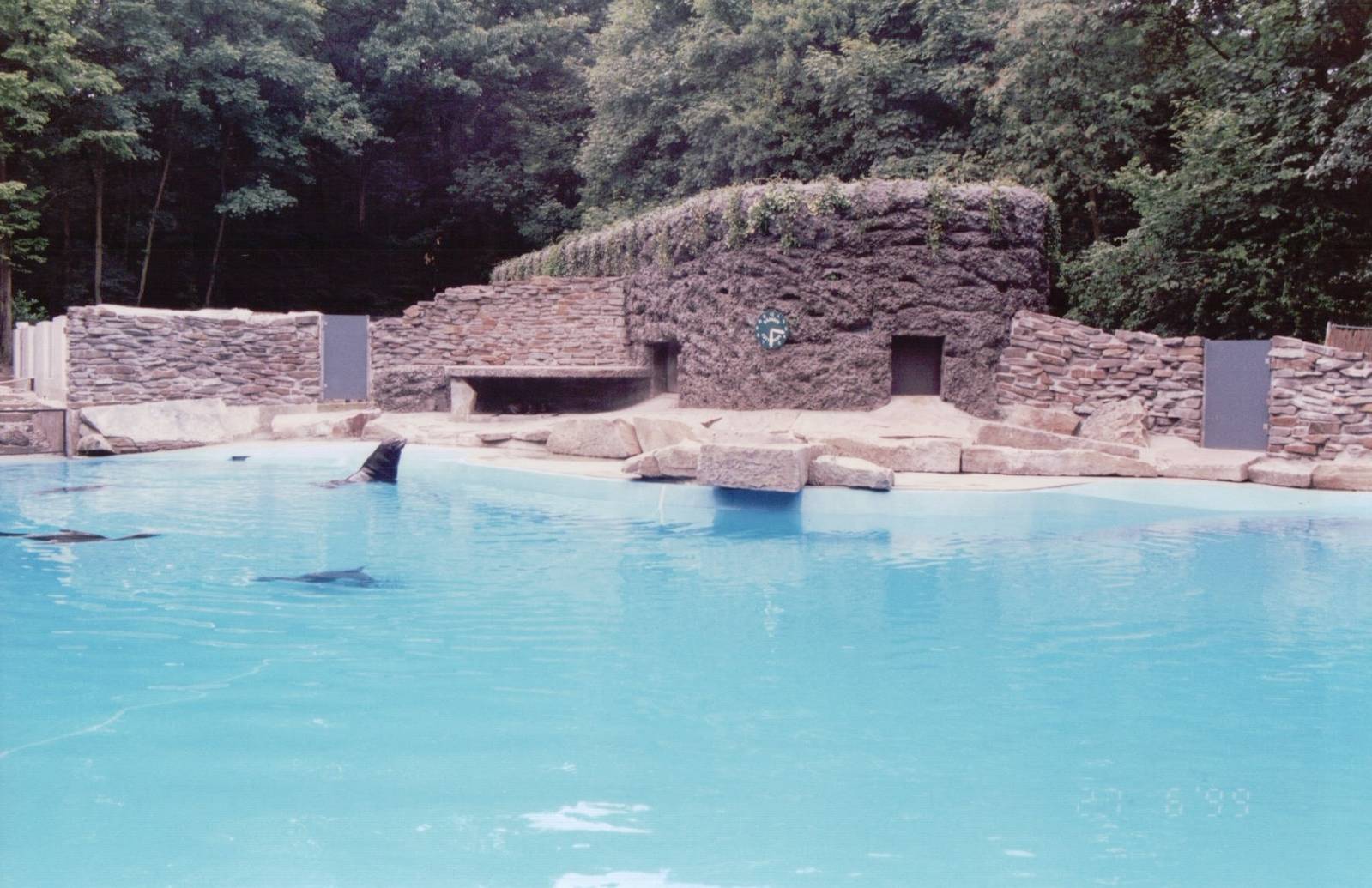 Duisburg Zoo 1999 - California Sea Lion pool