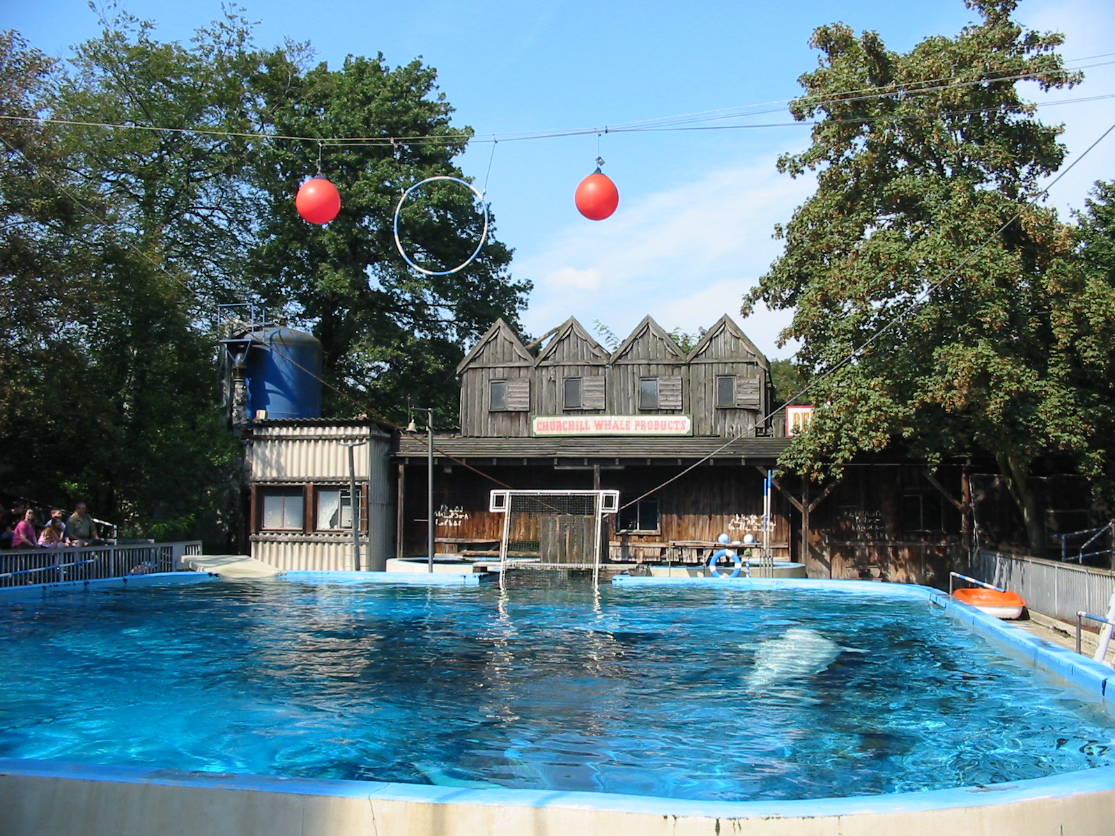Duisburg Zoo 2004 - Beluga pool