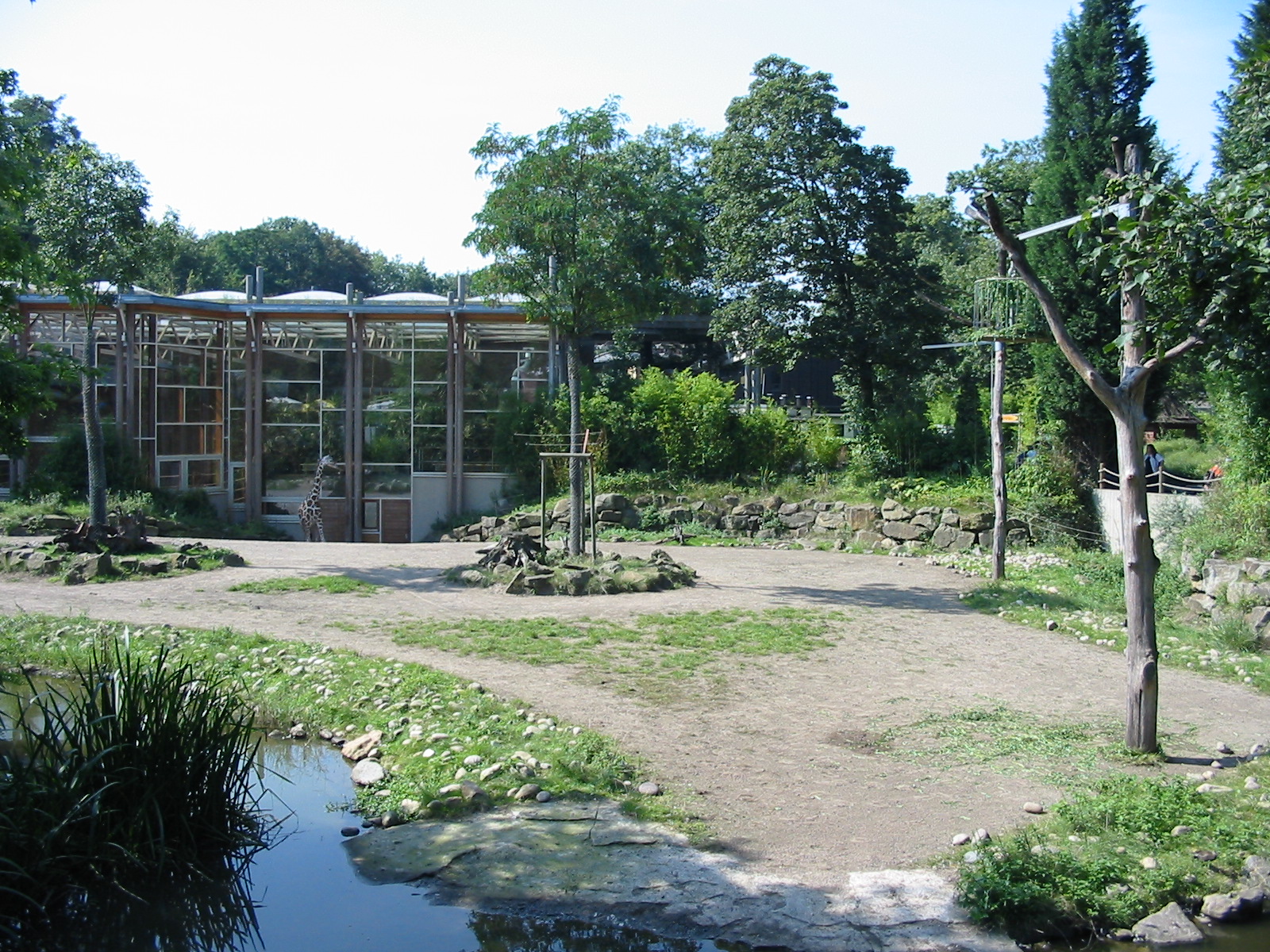 Duisburg Zoo 2004 - Giraffe exhibit