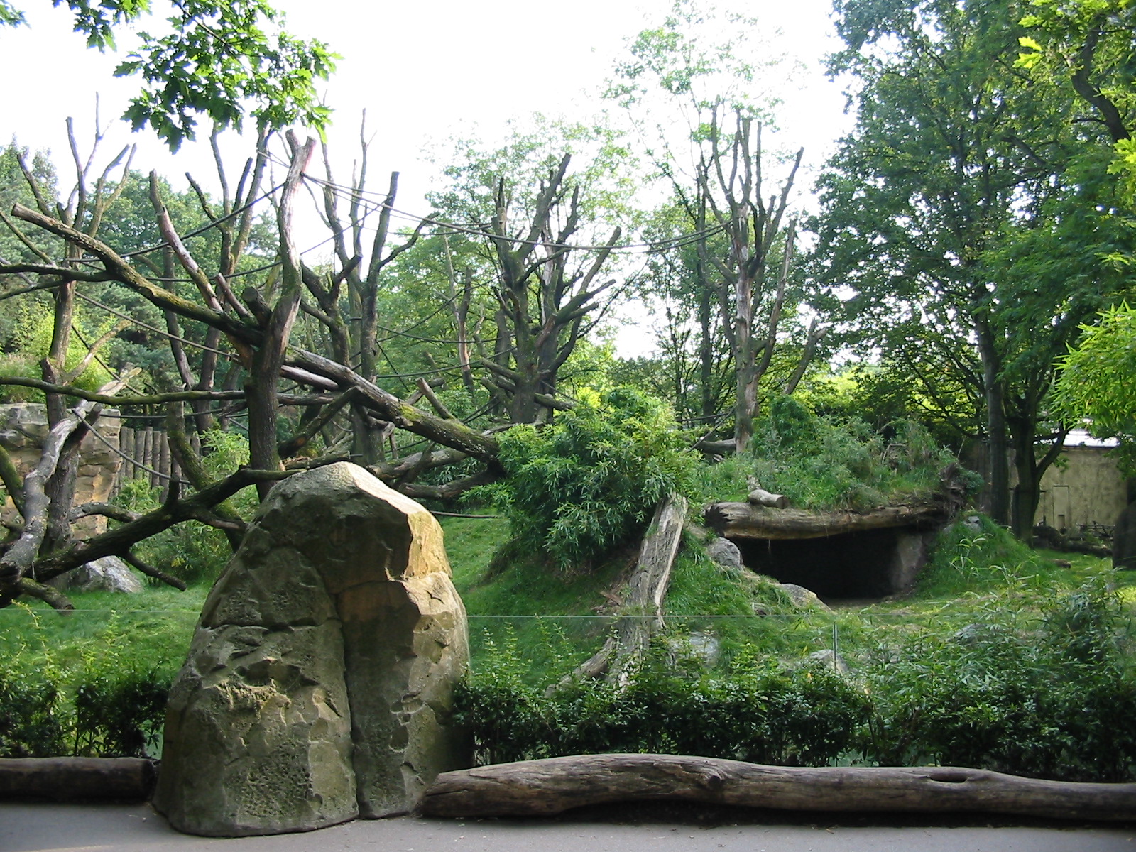 Duisburg Zoo 2004 - Gorilla exhibit