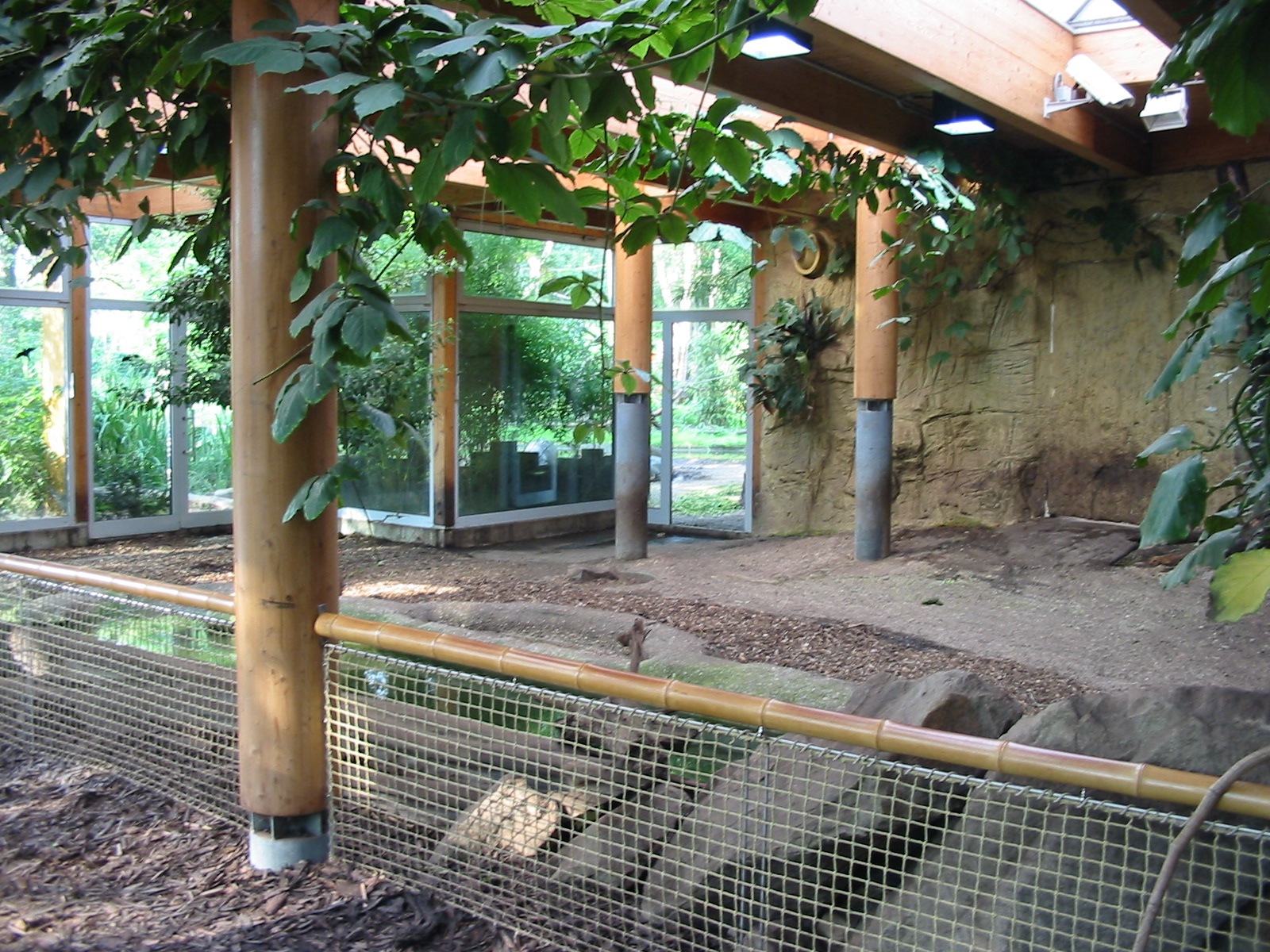 Duisburg Zoo 2004 - Indoor Pigmy Hippopotamus exhibit