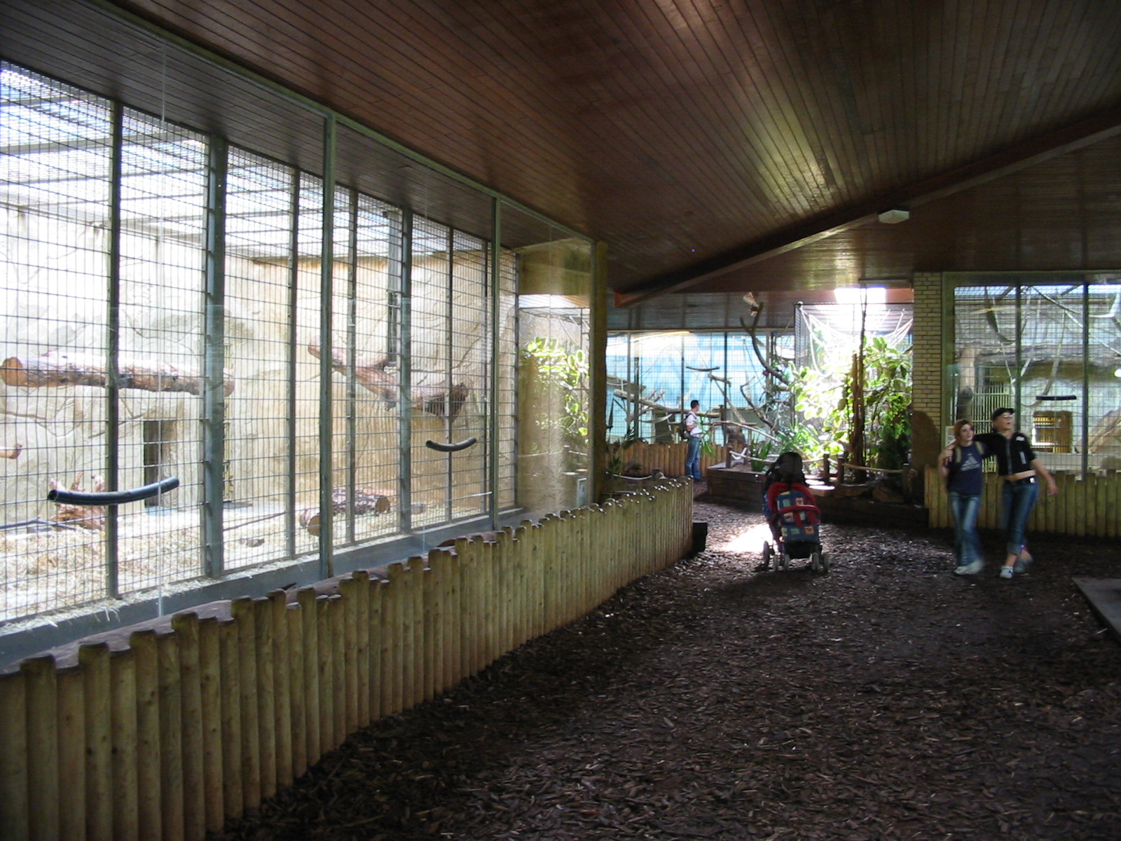 Duisburg Zoo 2004 - Inside the renovated Primate House