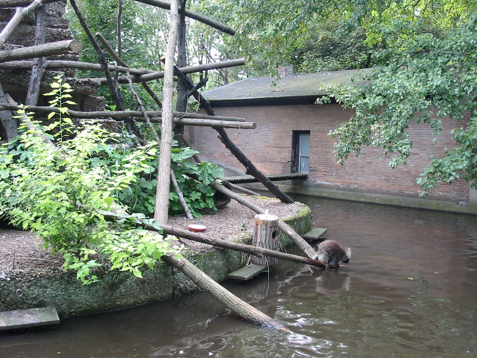 Duisburg Zoo 2004 - North American Tree Porcupine exhibit