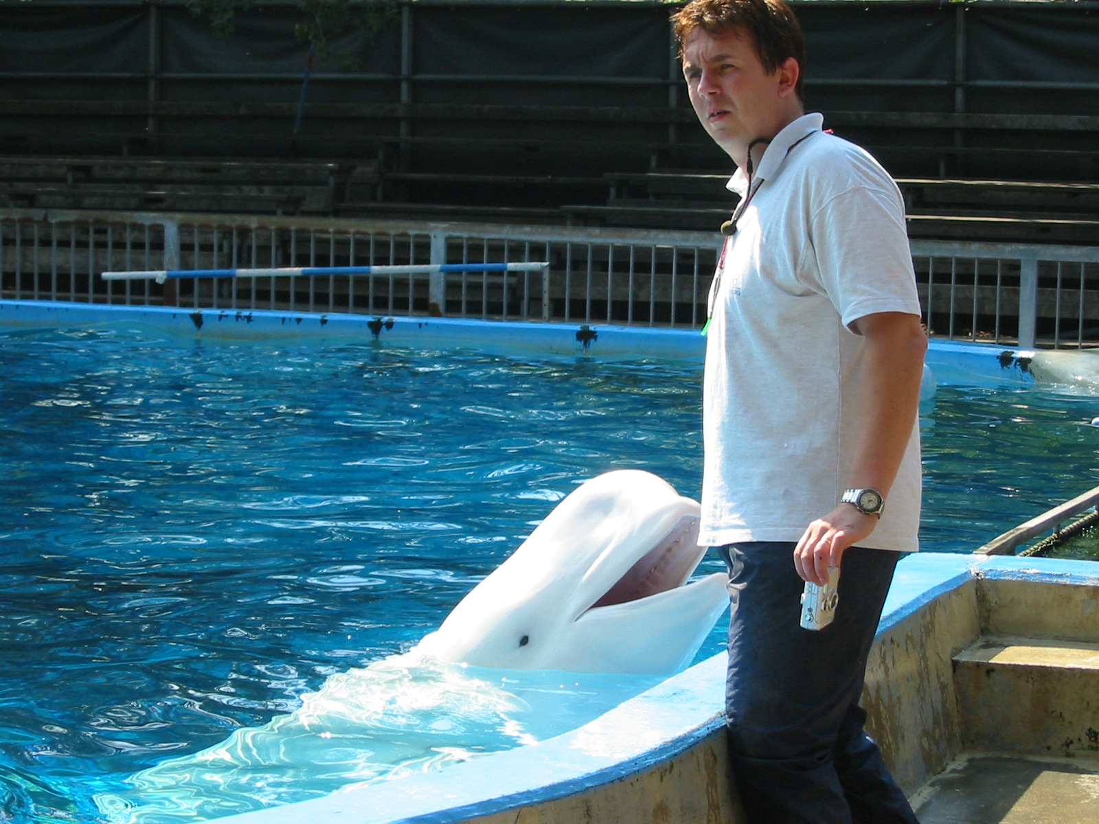 Duisburg Zoo 2004 - Trainer with the Beluga