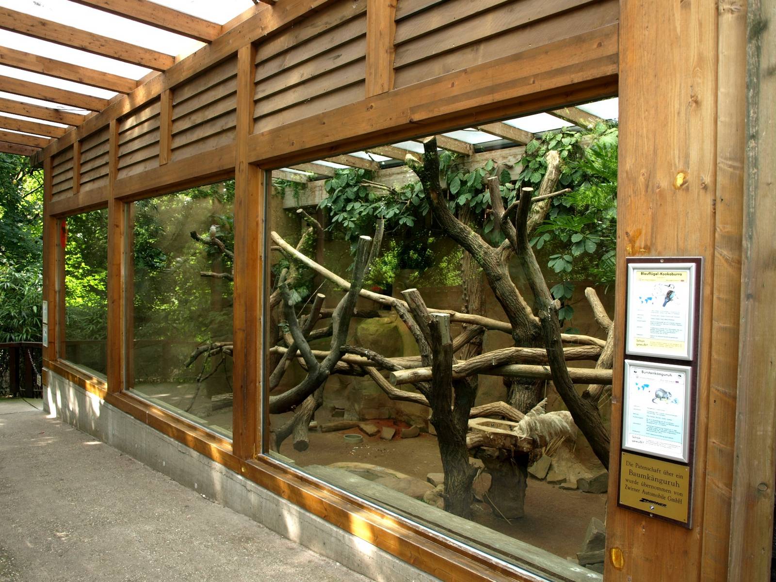 Duisburg Zoo - Australia (Tree kangaroos)