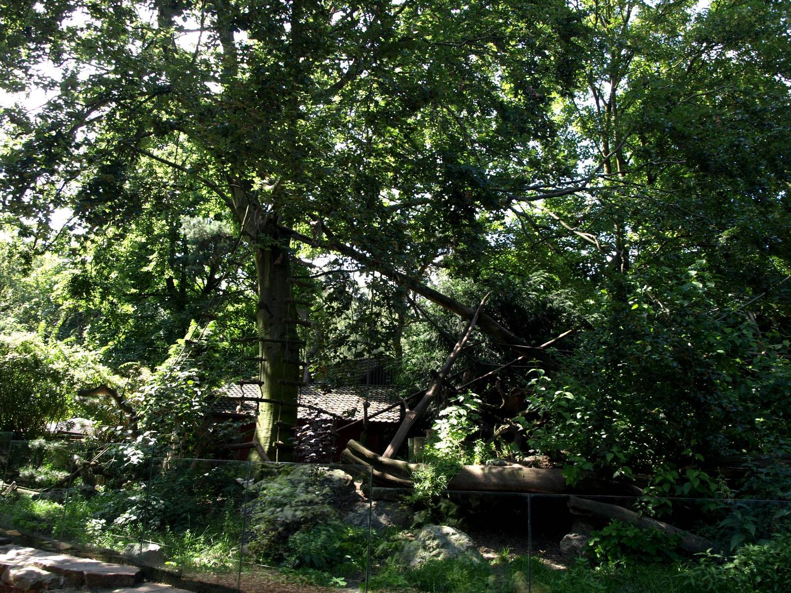 Duisburg Zoo - Coati exhibit