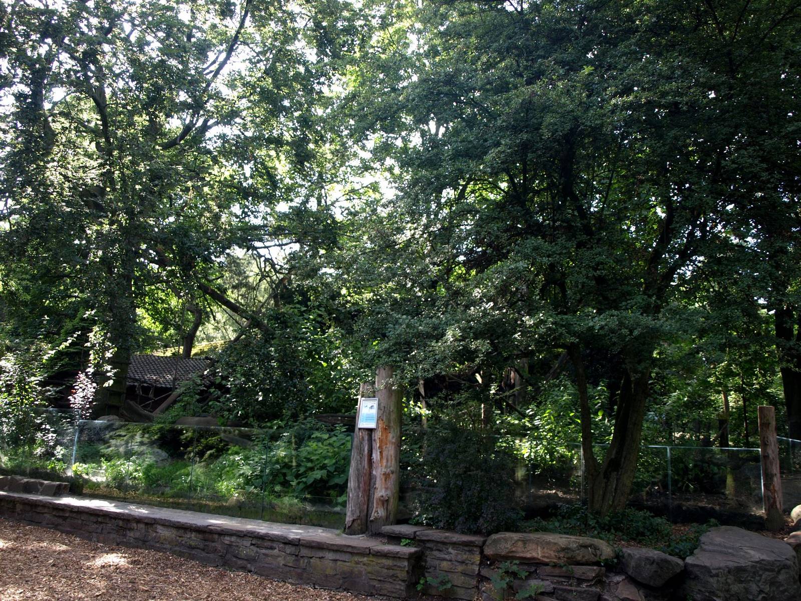 Duisburg Zoo - Coati exhibit