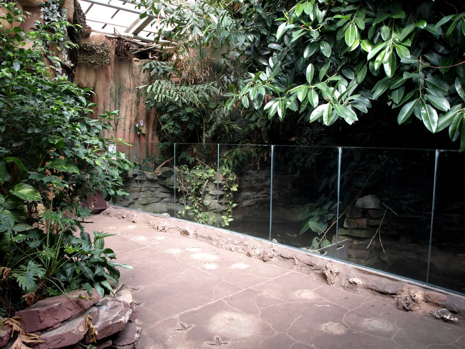 Duisburg Zoo - Crocodile exhibit